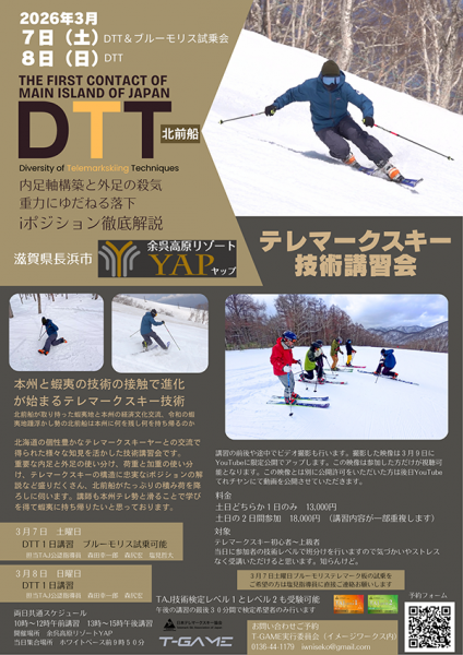 DDT（小）